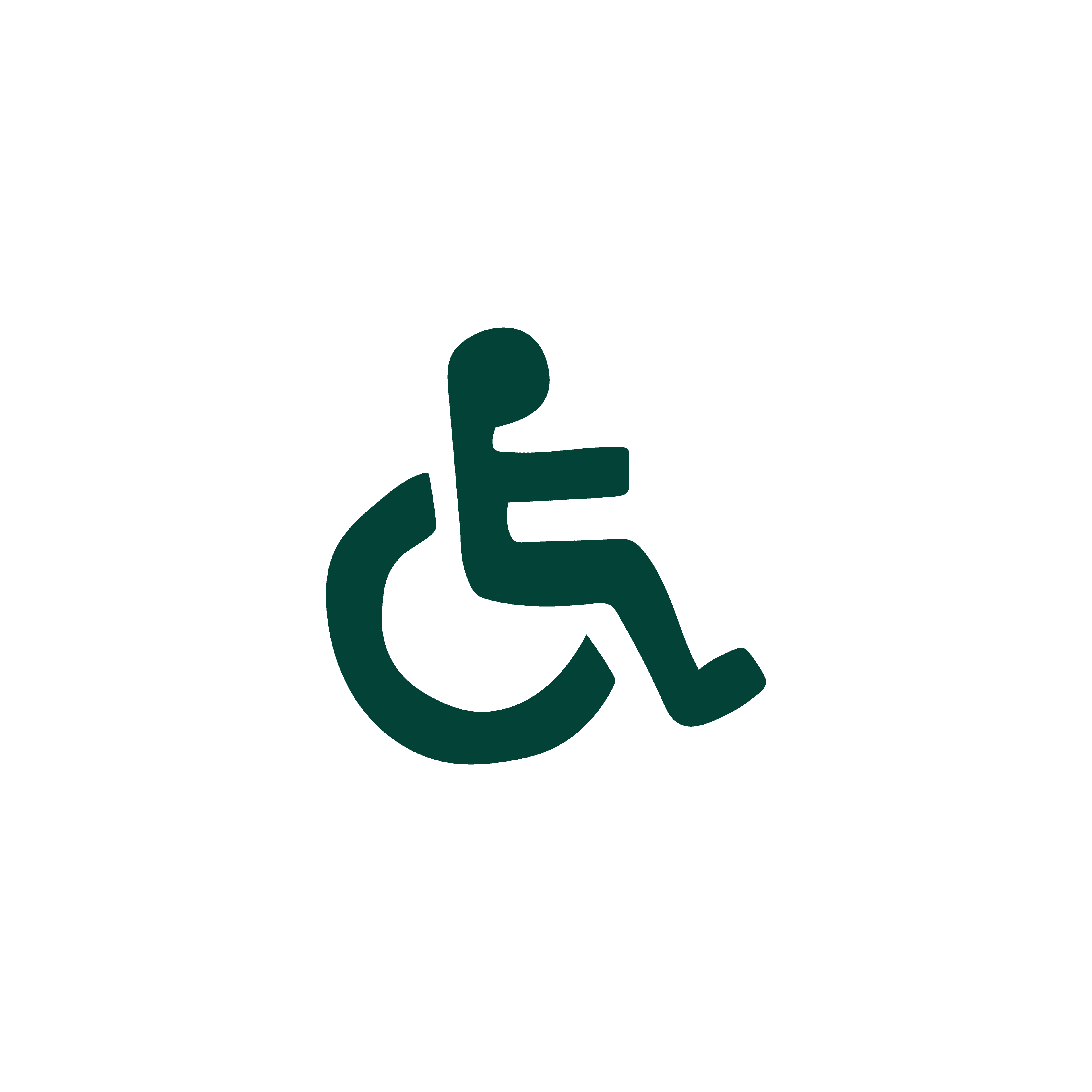 ACCESSIBILITY